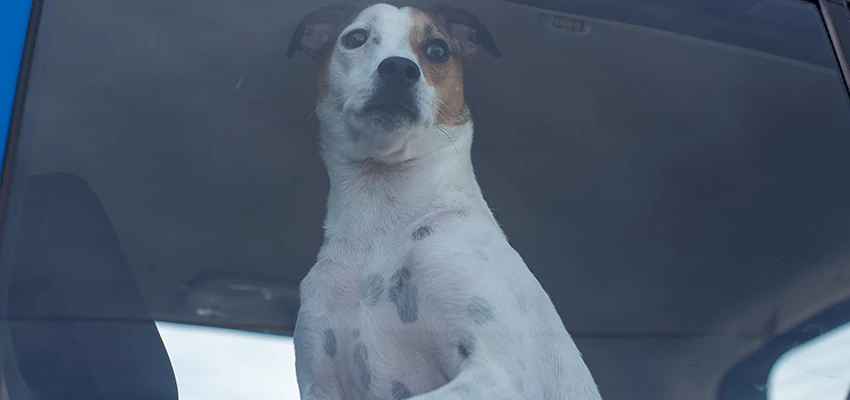 Car Lockout Solutions in Ladera Heights, California